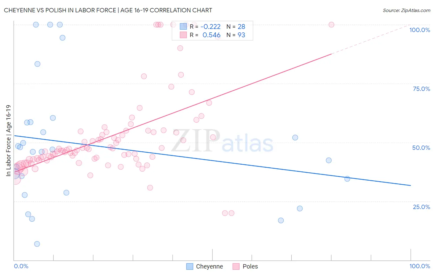 Cheyenne vs Polish In Labor Force | Age 16-19