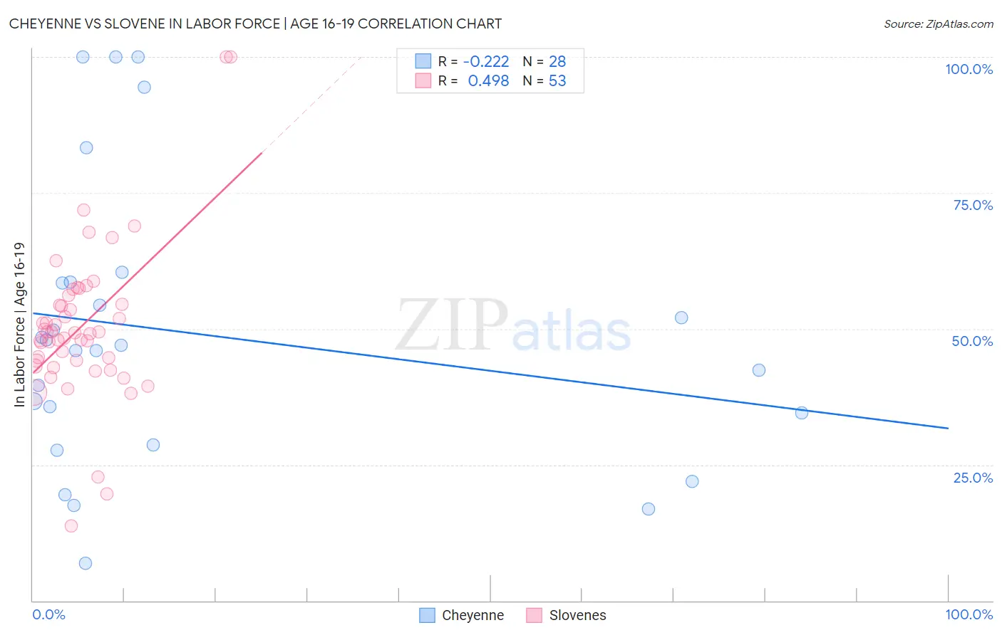 Cheyenne vs Slovene In Labor Force | Age 16-19