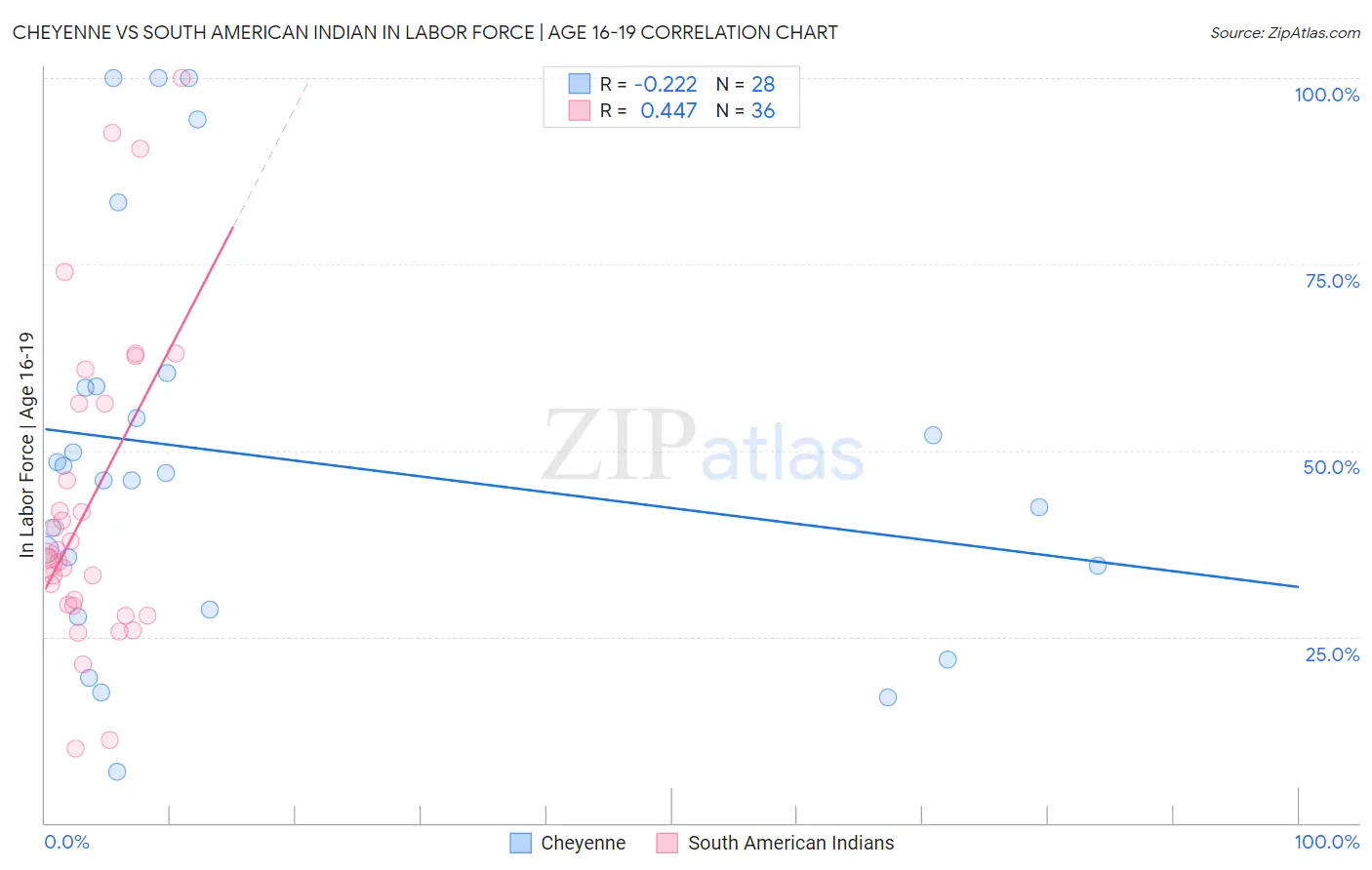 Cheyenne vs South American Indian In Labor Force | Age 16-19
