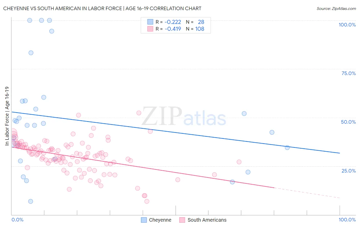 Cheyenne vs South American In Labor Force | Age 16-19