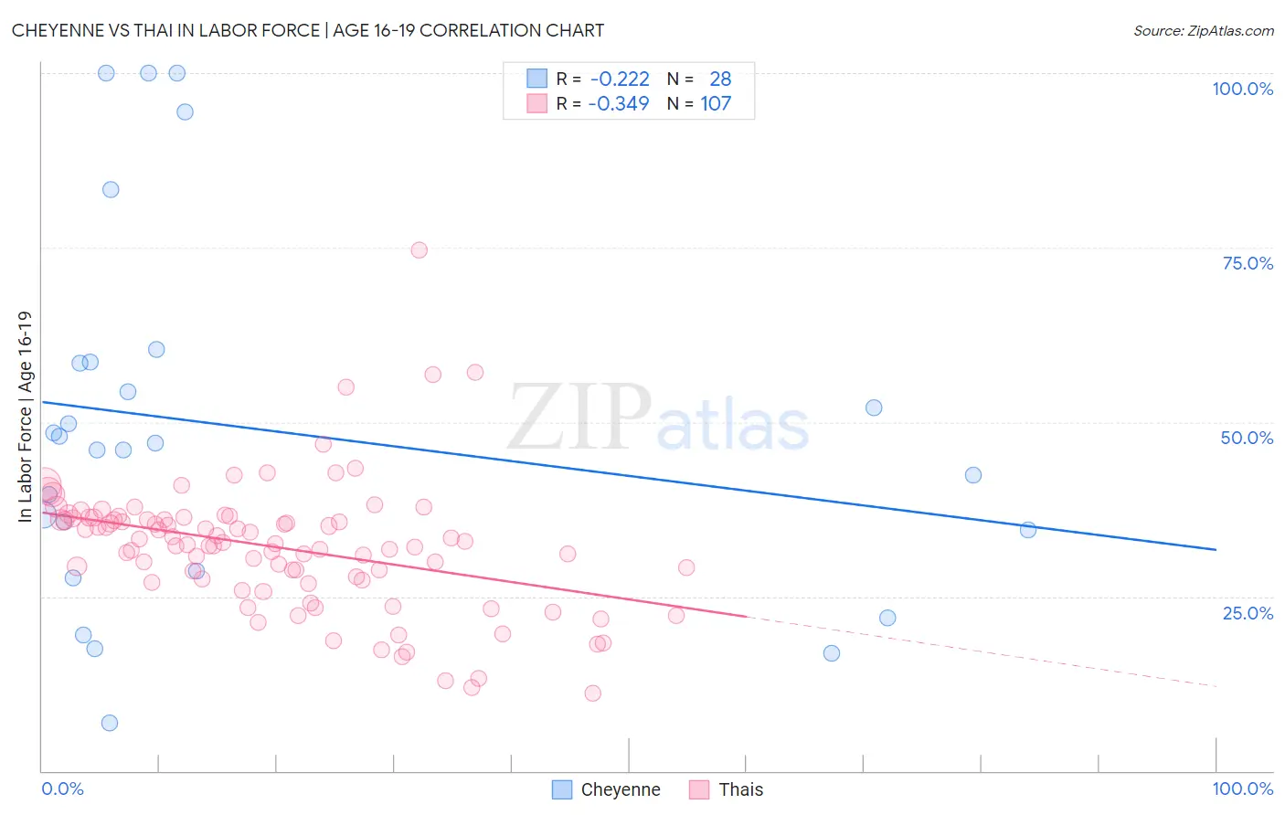 Cheyenne vs Thai In Labor Force | Age 16-19