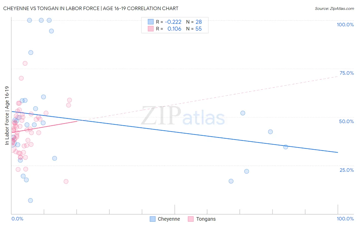 Cheyenne vs Tongan In Labor Force | Age 16-19
