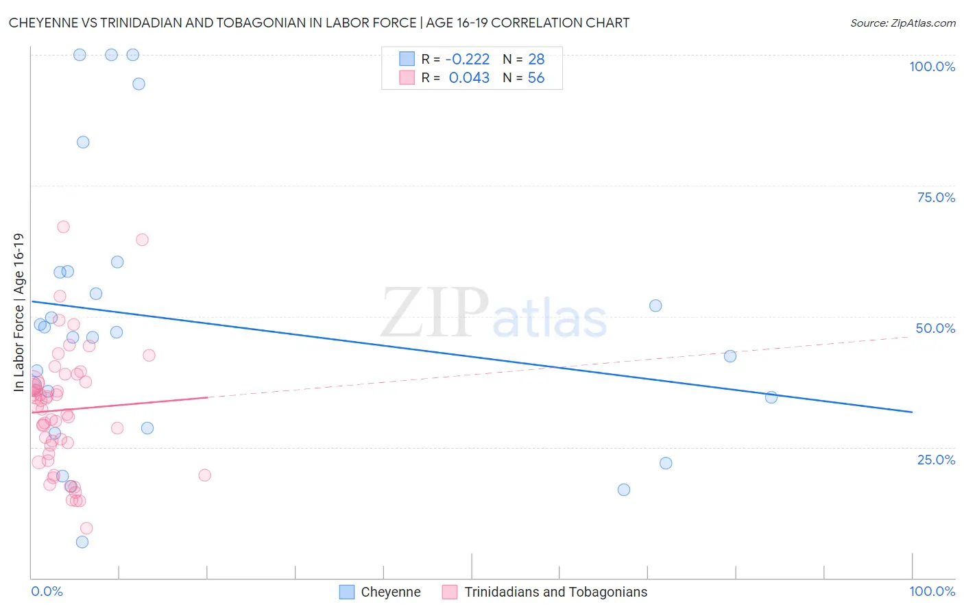 Cheyenne vs Trinidadian and Tobagonian In Labor Force | Age 16-19