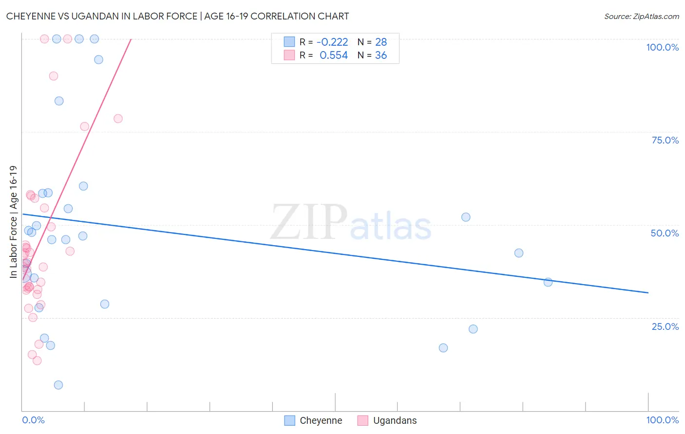 Cheyenne vs Ugandan In Labor Force | Age 16-19
