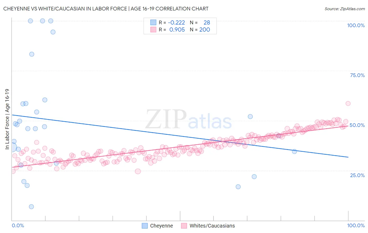 Cheyenne vs White/Caucasian In Labor Force | Age 16-19