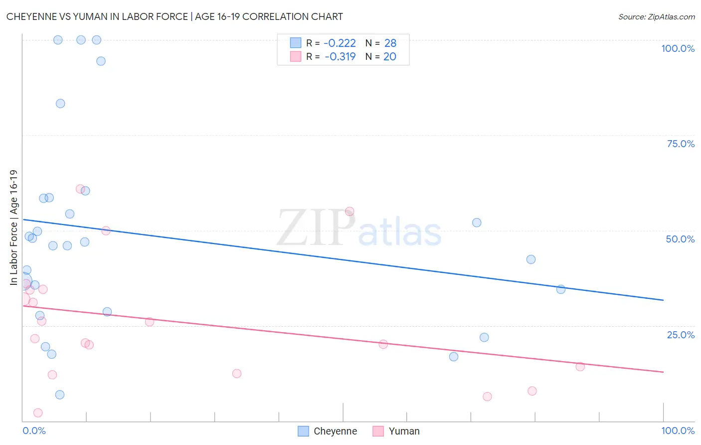 Cheyenne vs Yuman In Labor Force | Age 16-19