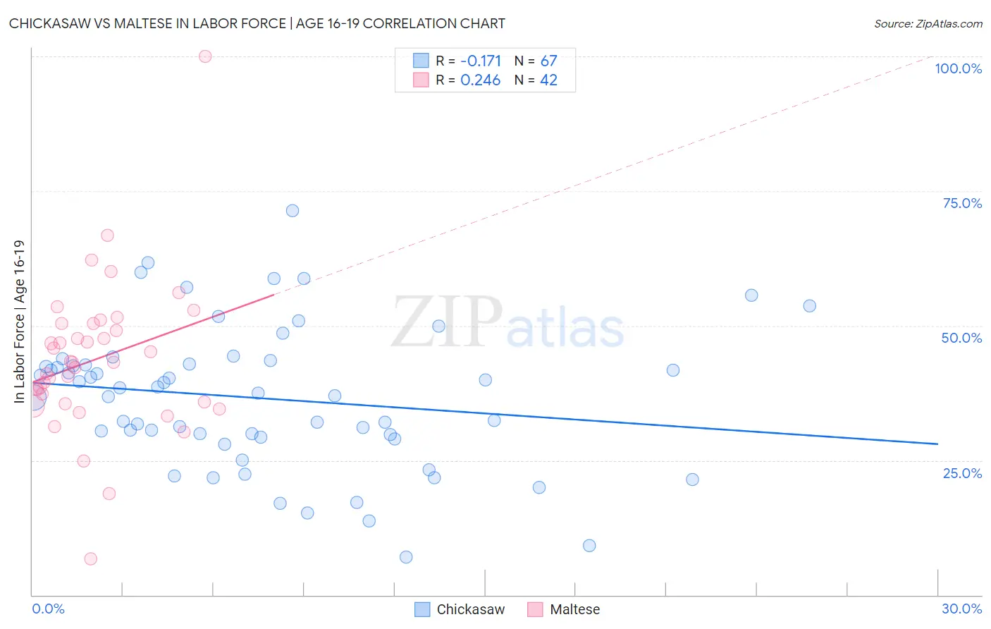Chickasaw vs Maltese In Labor Force | Age 16-19