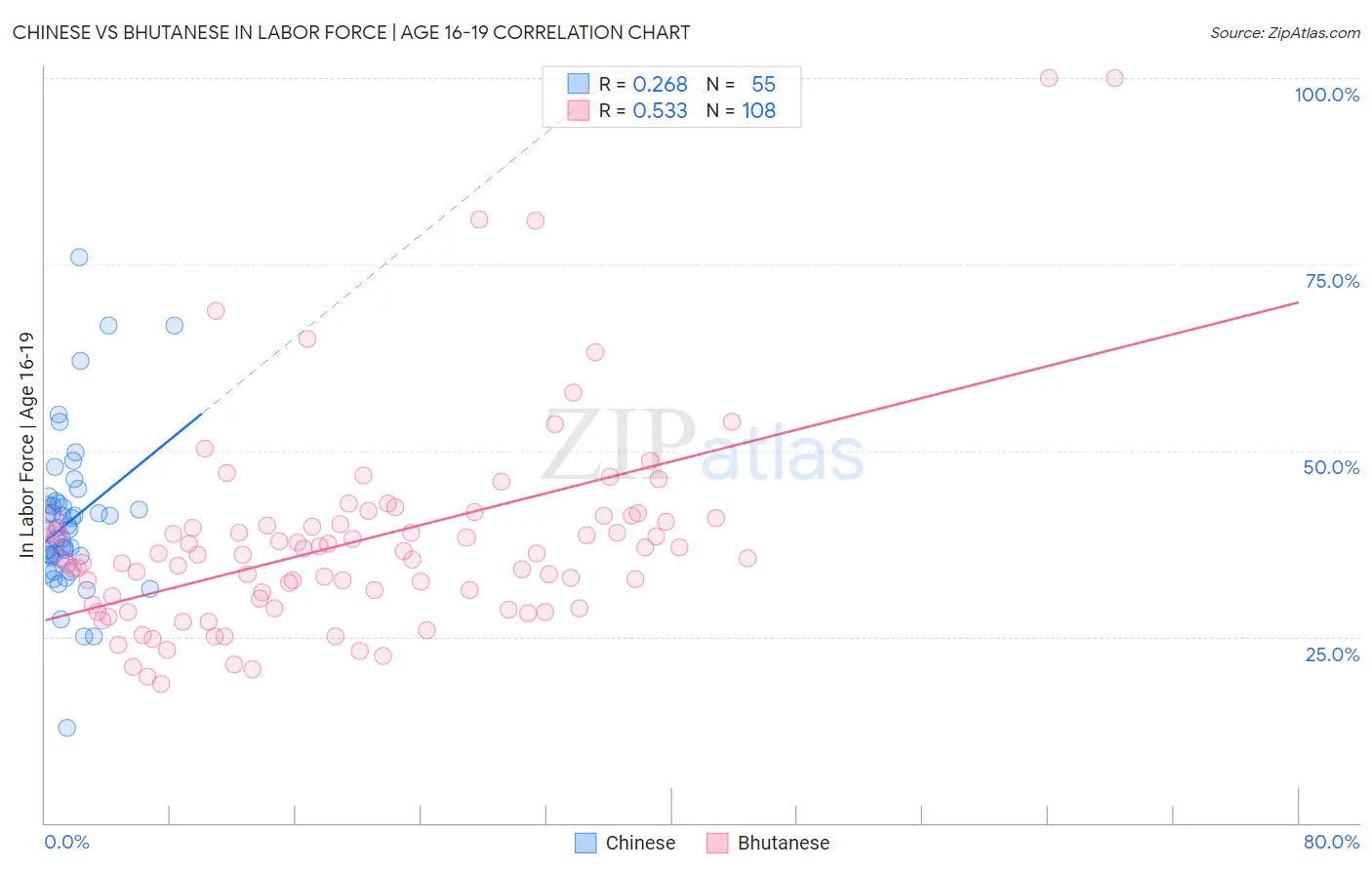 Chinese vs Bhutanese In Labor Force | Age 16-19