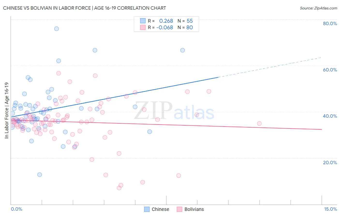 Chinese vs Bolivian In Labor Force | Age 16-19