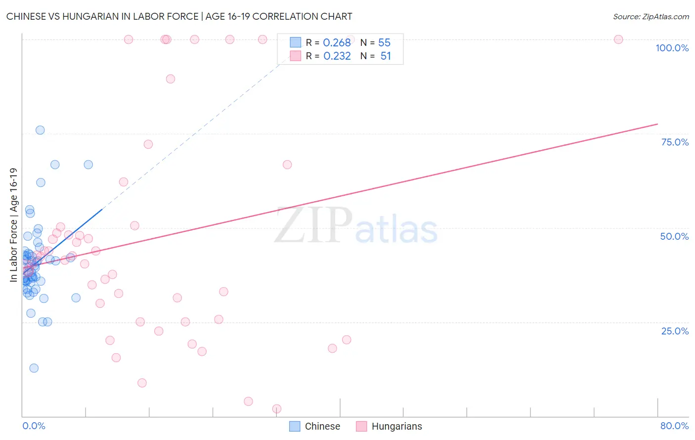 Chinese vs Hungarian In Labor Force | Age 16-19