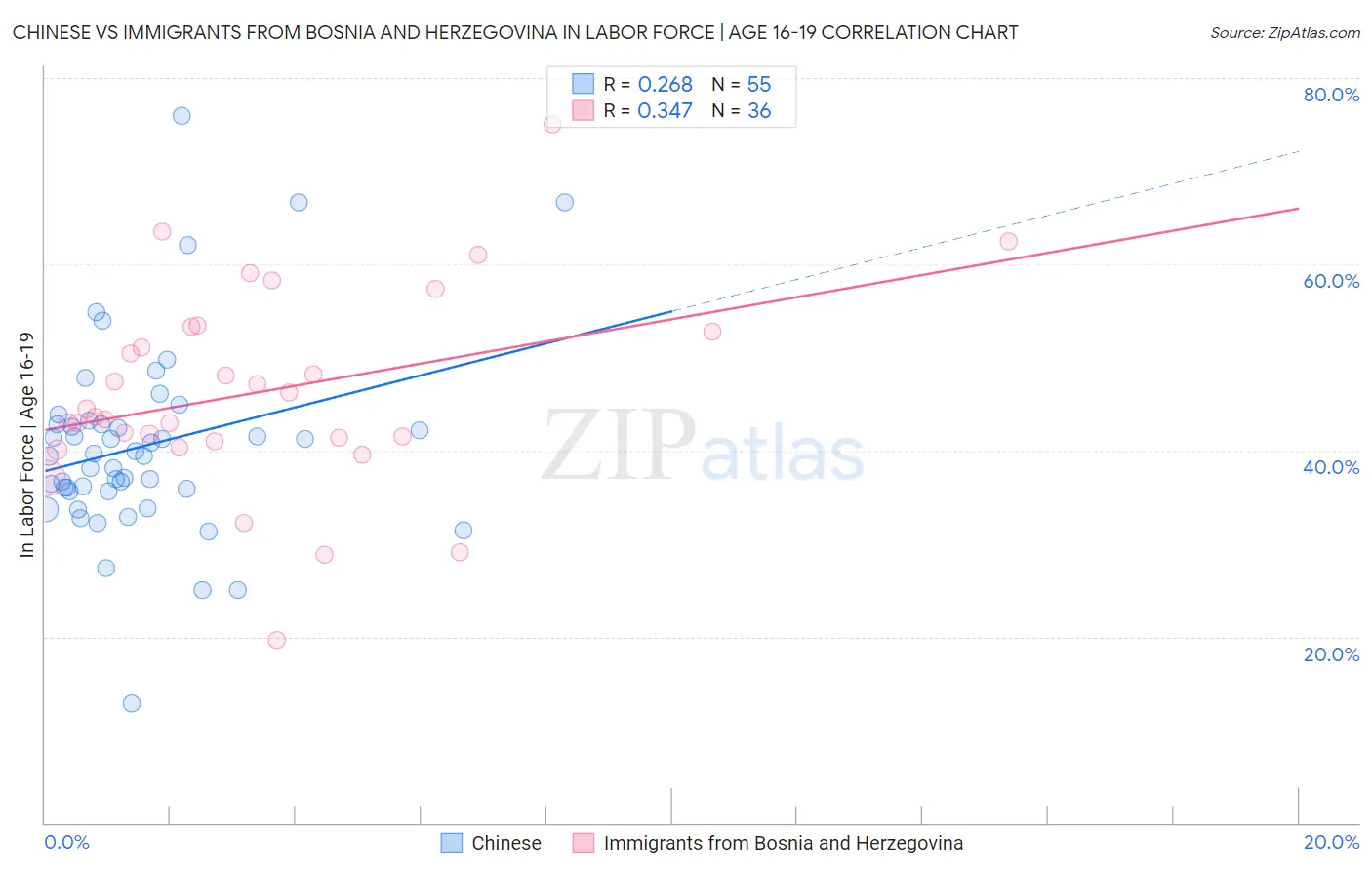 Chinese vs Immigrants from Bosnia and Herzegovina In Labor Force | Age 16-19