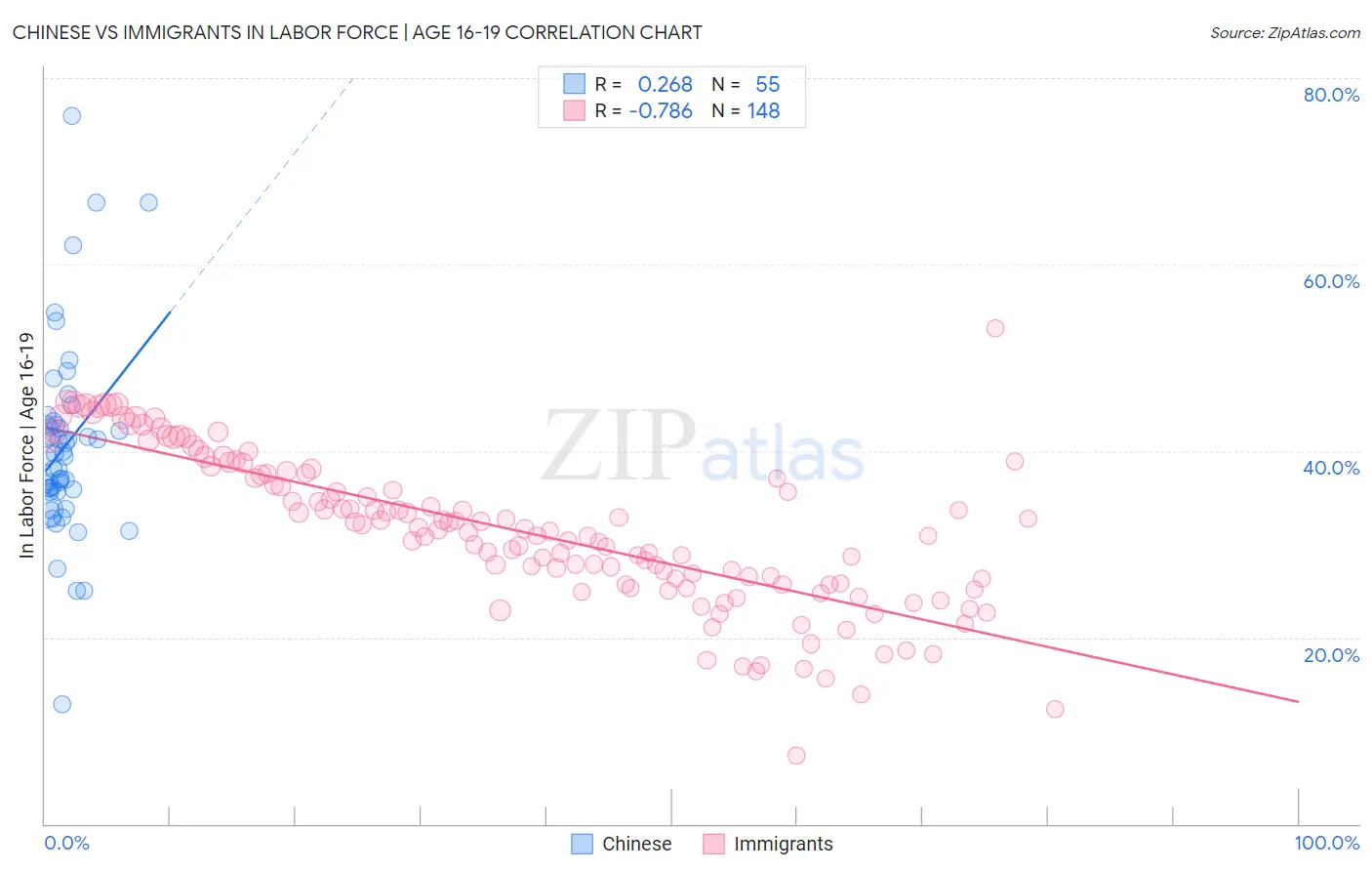 Chinese vs Immigrants In Labor Force | Age 16-19