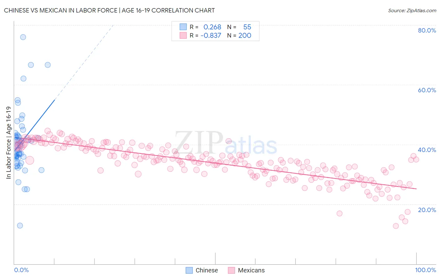 Chinese vs Mexican In Labor Force | Age 16-19