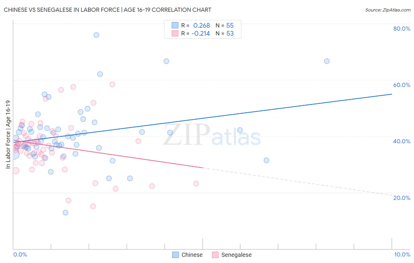Chinese vs Senegalese In Labor Force | Age 16-19