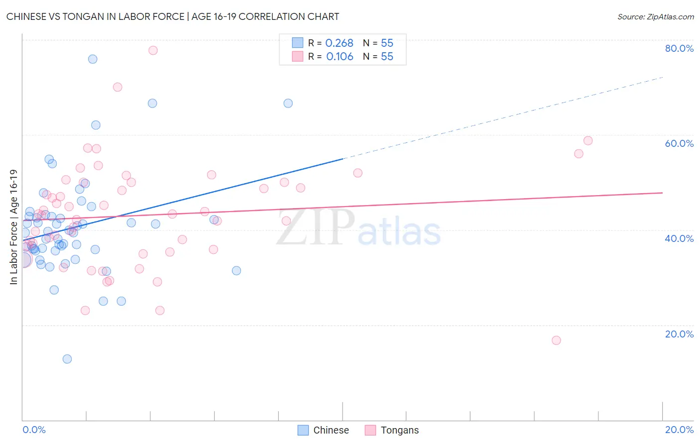 Chinese vs Tongan In Labor Force | Age 16-19