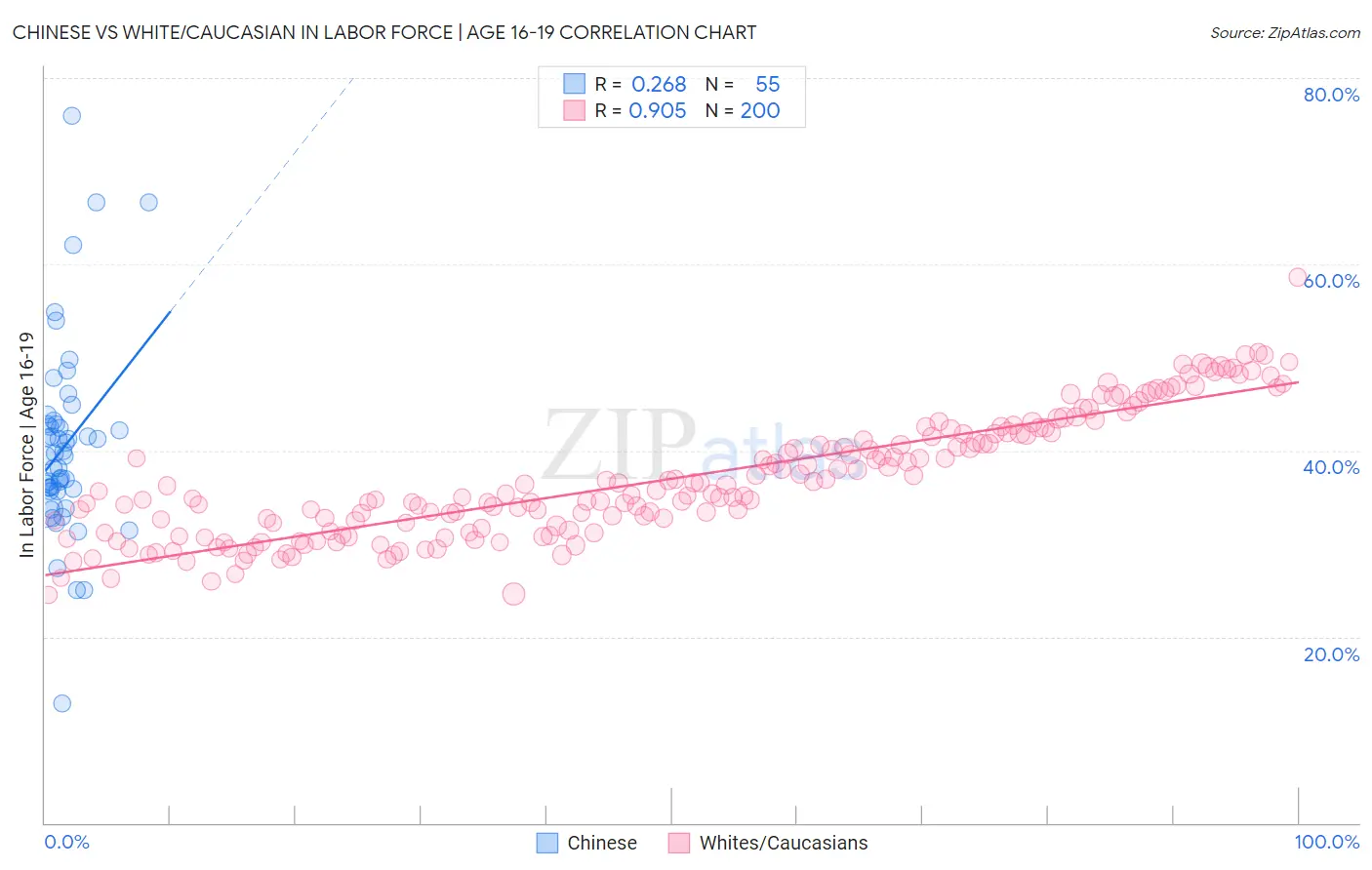 Chinese vs White/Caucasian In Labor Force | Age 16-19