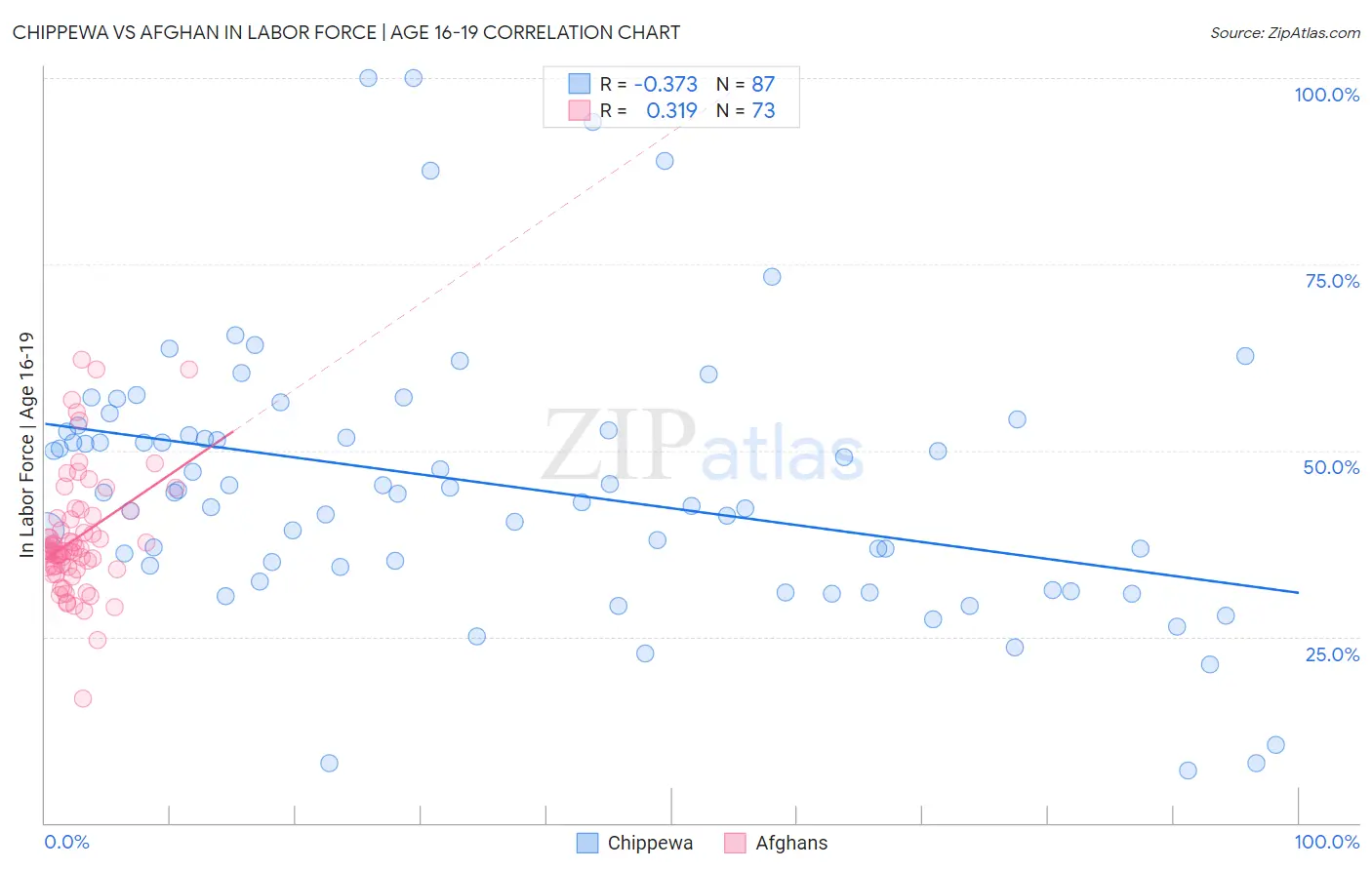 Chippewa vs Afghan In Labor Force | Age 16-19