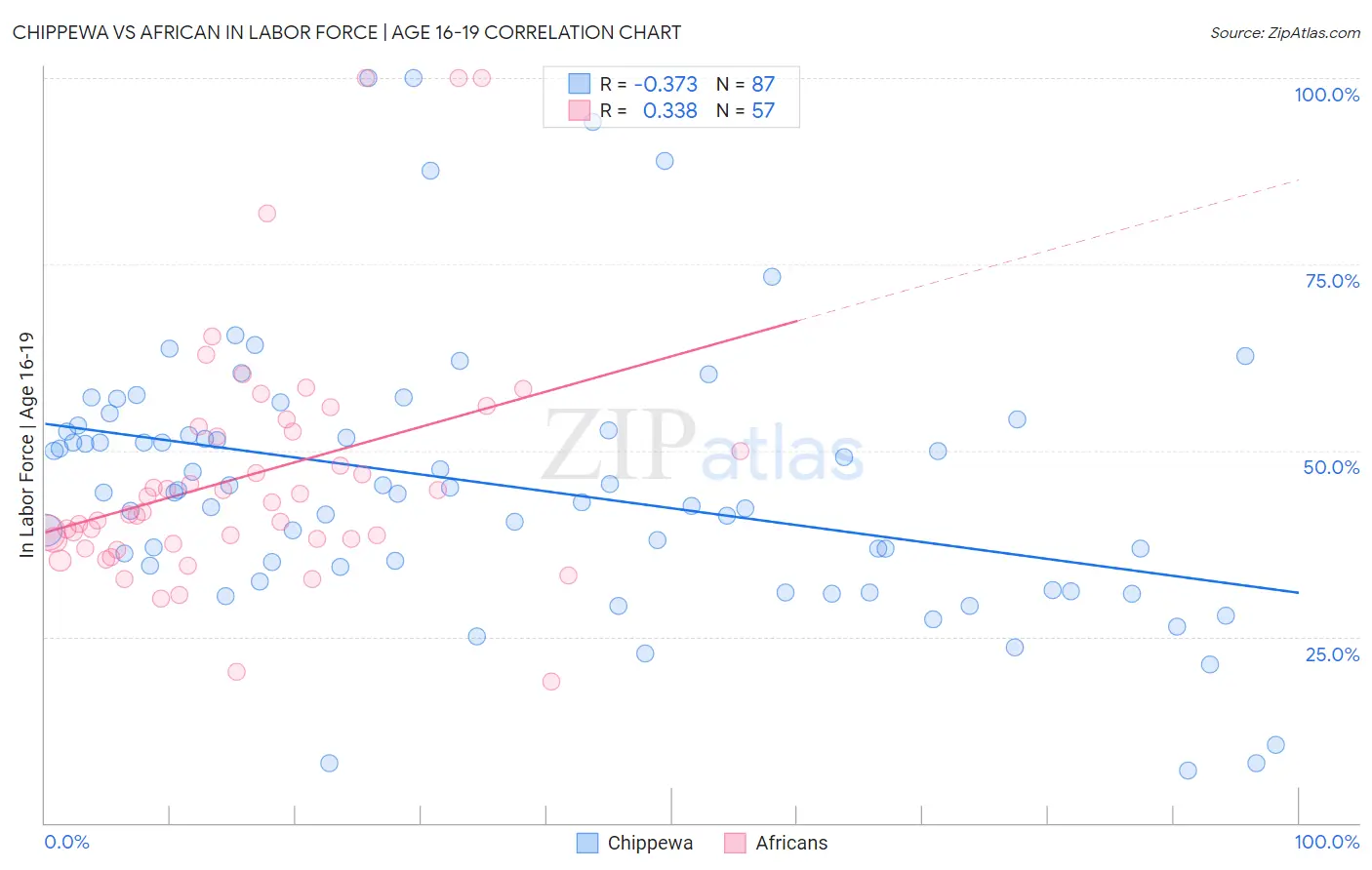Chippewa vs African In Labor Force | Age 16-19
