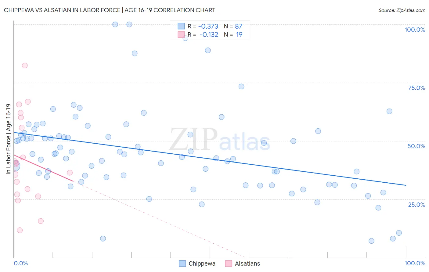 Chippewa vs Alsatian In Labor Force | Age 16-19