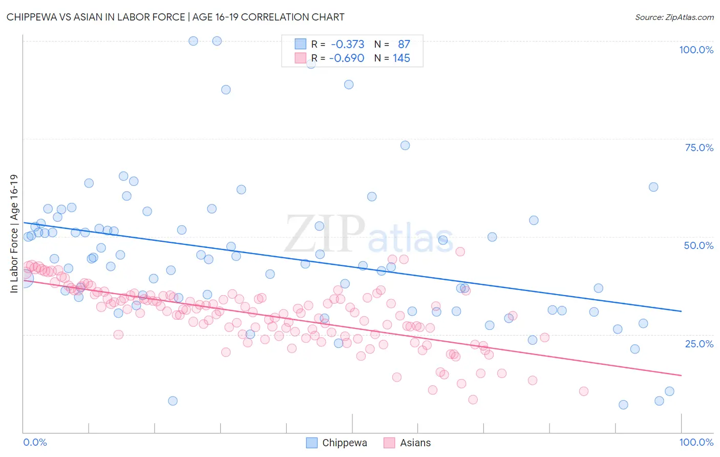 Chippewa vs Asian In Labor Force | Age 16-19