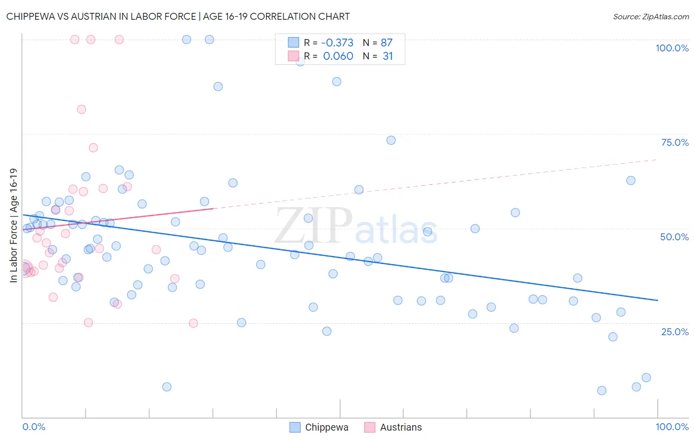 Chippewa vs Austrian In Labor Force | Age 16-19