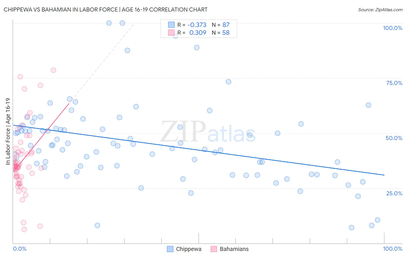 Chippewa vs Bahamian In Labor Force | Age 16-19