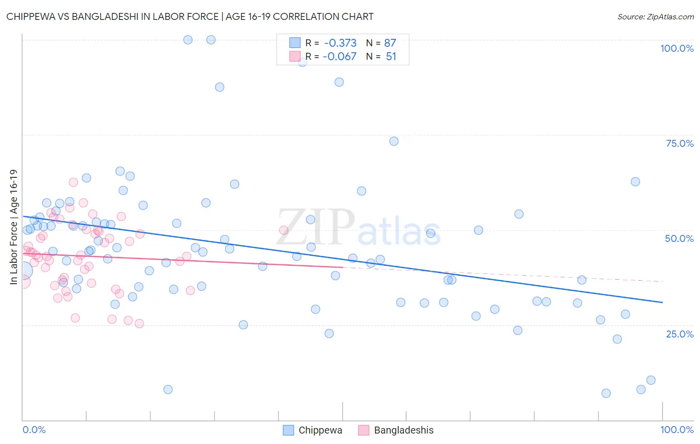 Chippewa vs Bangladeshi In Labor Force | Age 16-19