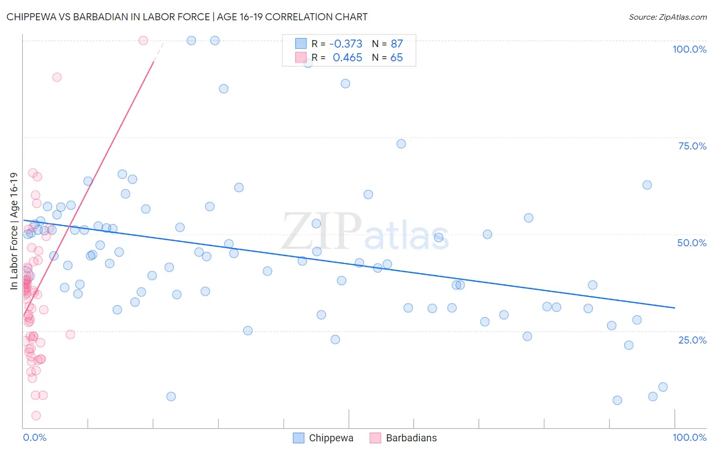 Chippewa vs Barbadian In Labor Force | Age 16-19