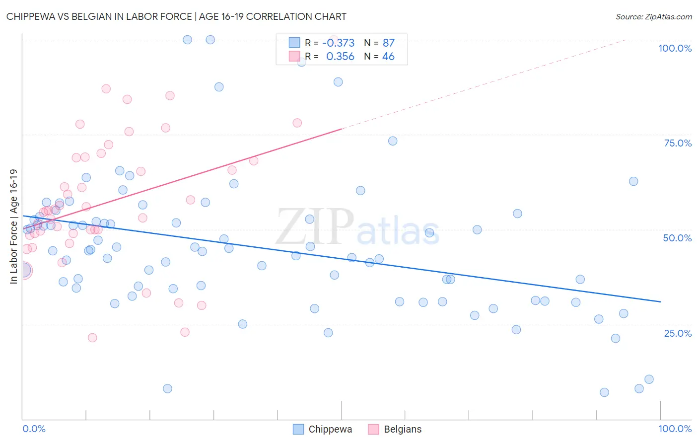 Chippewa vs Belgian In Labor Force | Age 16-19