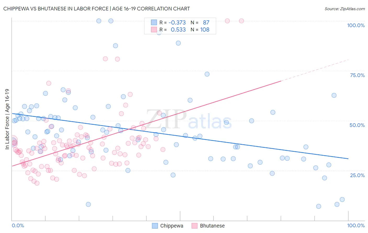 Chippewa vs Bhutanese In Labor Force | Age 16-19