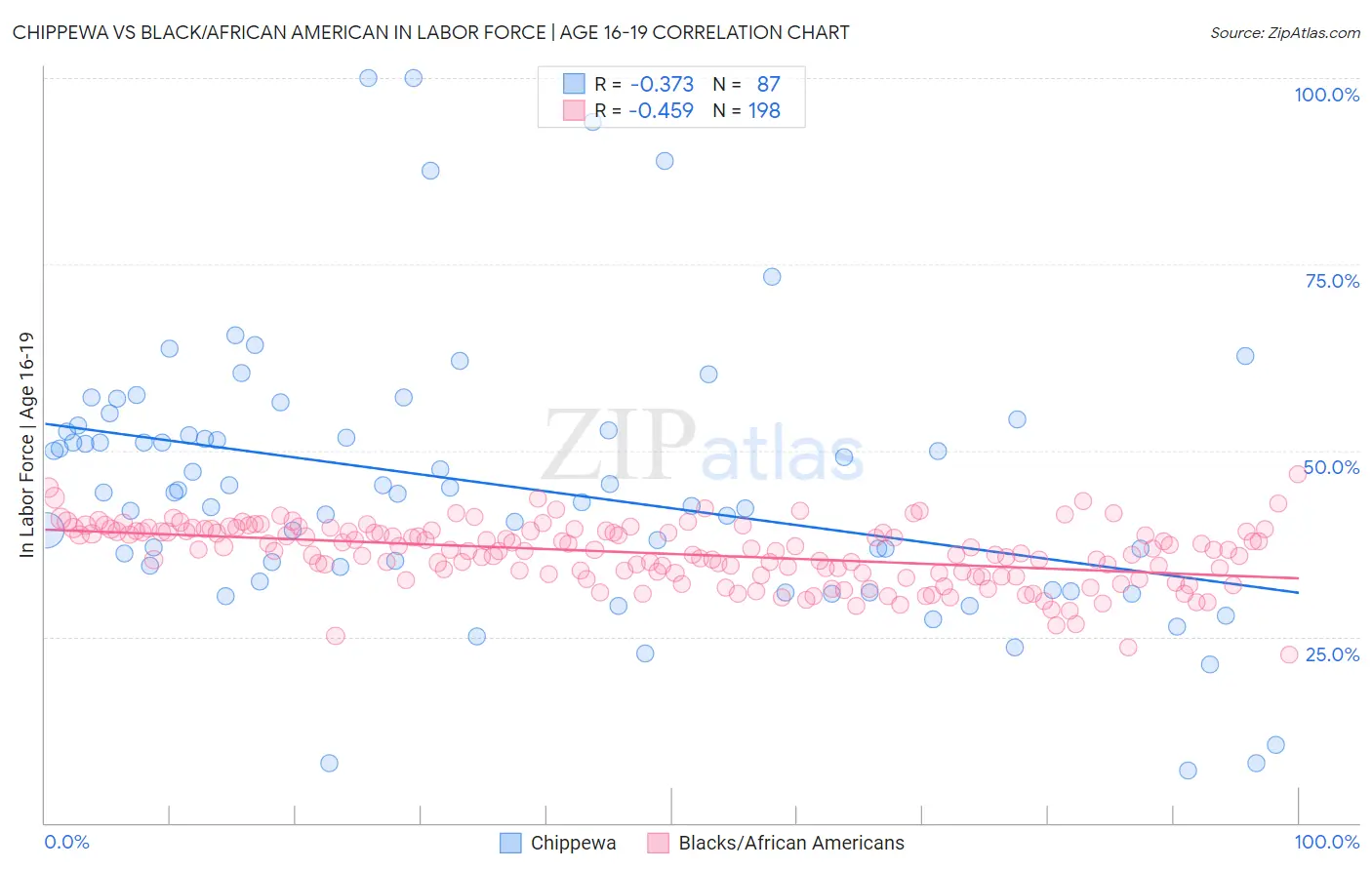 Chippewa vs Black/African American In Labor Force | Age 16-19