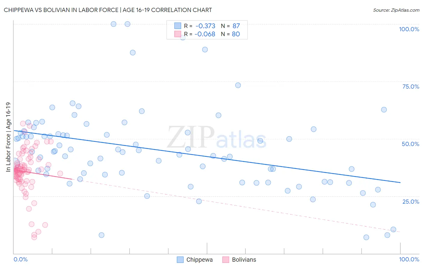 Chippewa vs Bolivian In Labor Force | Age 16-19