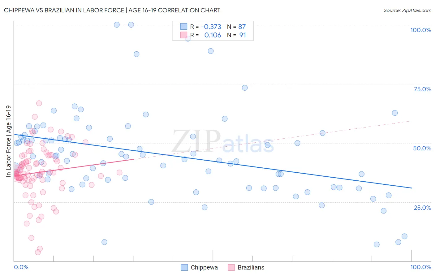Chippewa vs Brazilian In Labor Force | Age 16-19