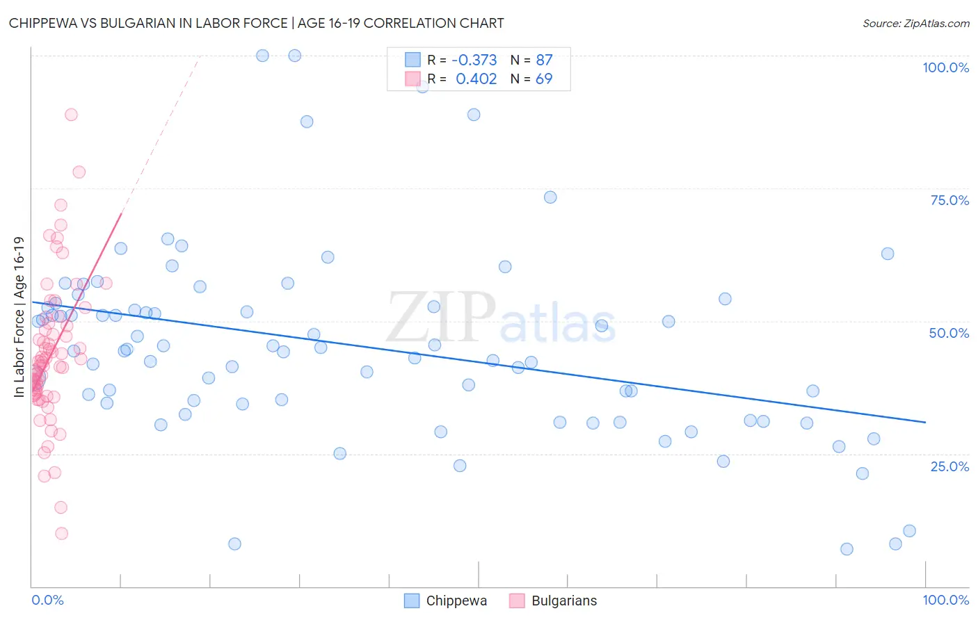 Chippewa vs Bulgarian In Labor Force | Age 16-19