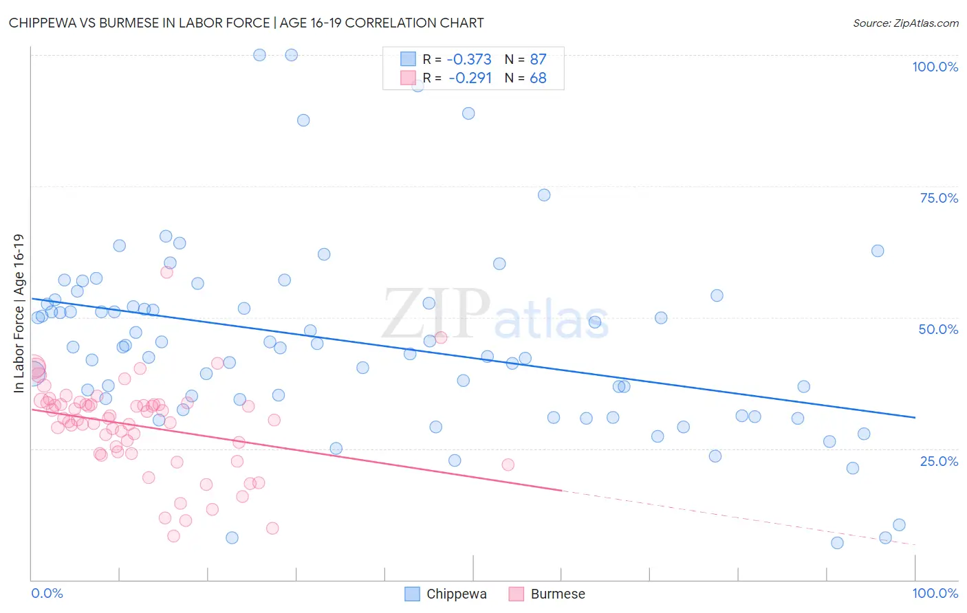 Chippewa vs Burmese In Labor Force | Age 16-19