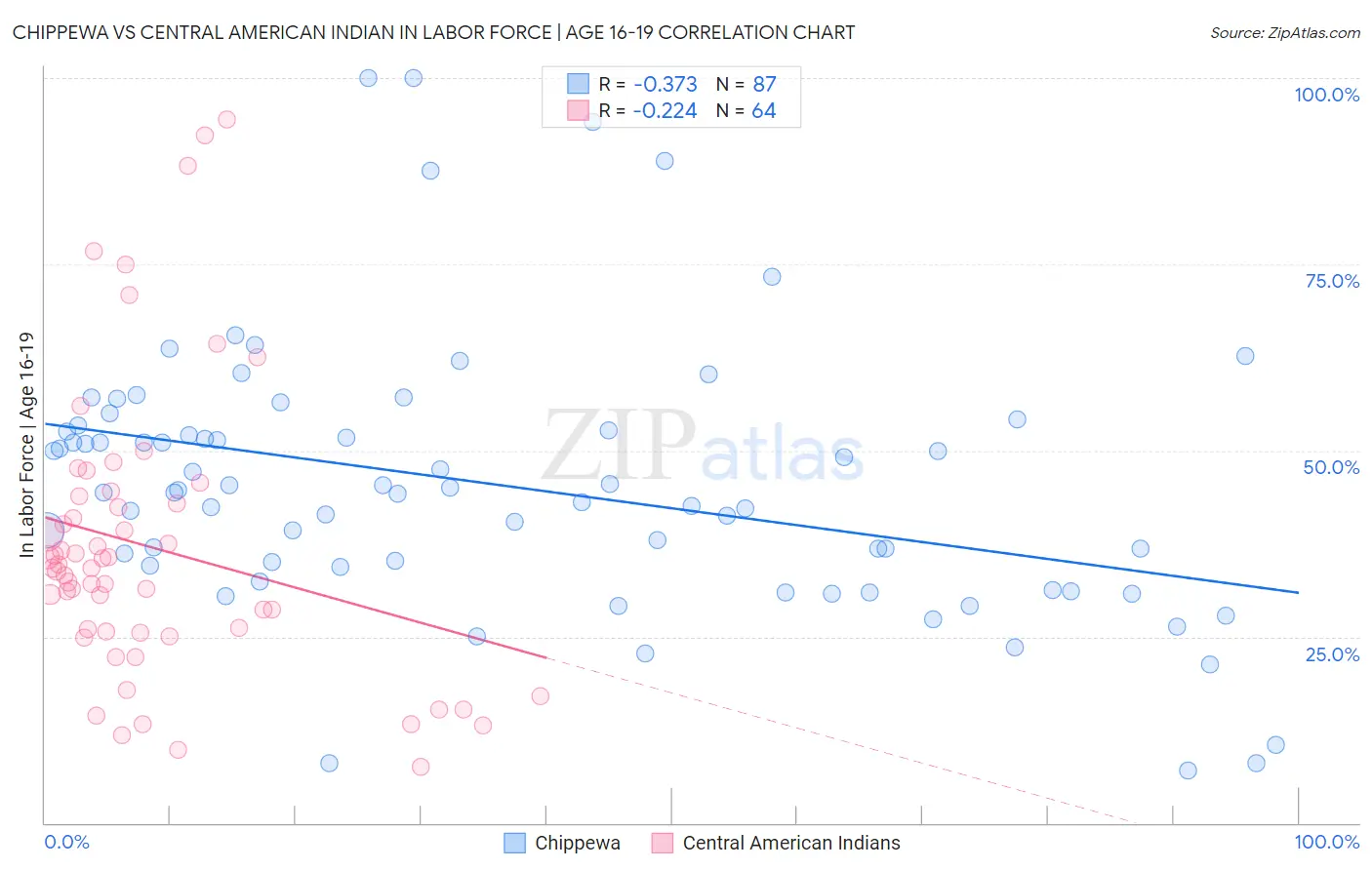 Chippewa vs Central American Indian In Labor Force | Age 16-19