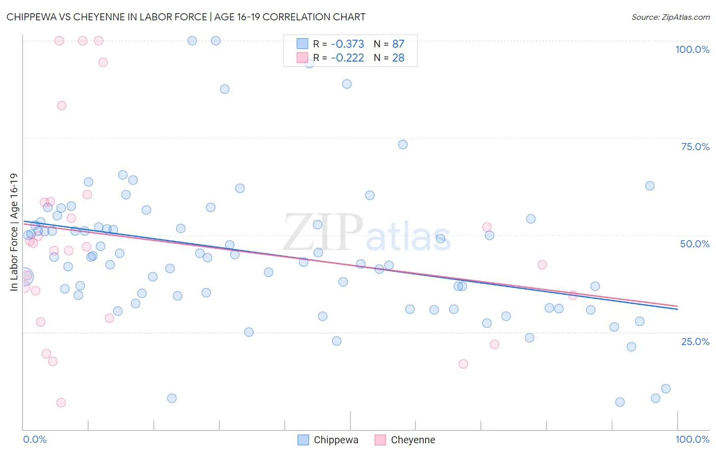 Chippewa vs Cheyenne In Labor Force | Age 16-19