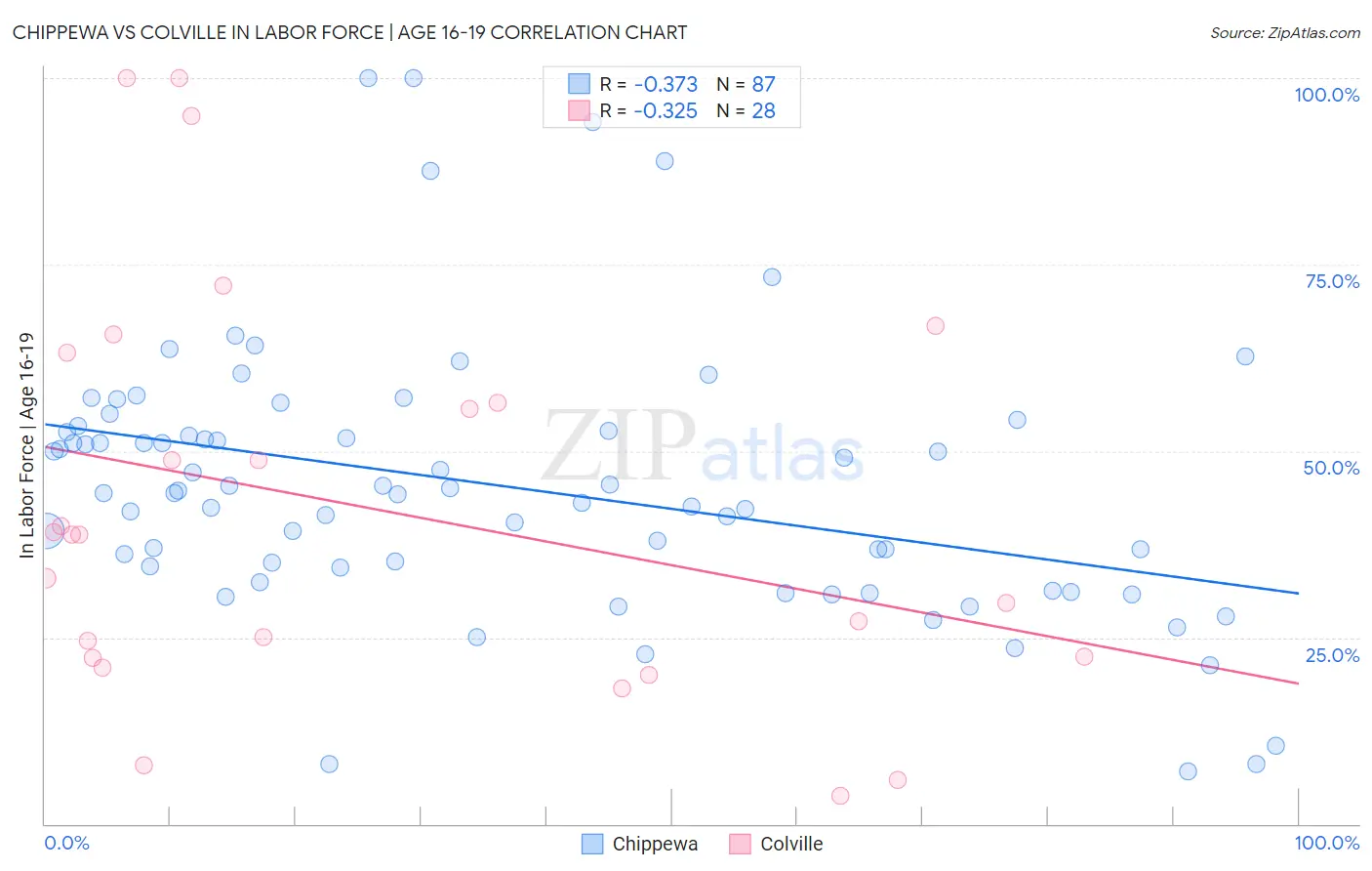 Chippewa vs Colville In Labor Force | Age 16-19