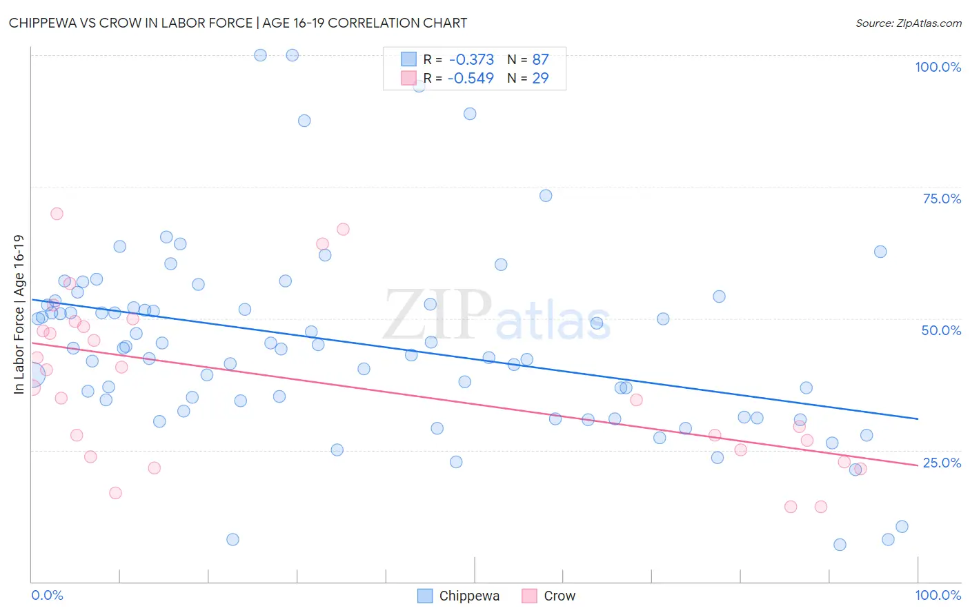 Chippewa vs Crow In Labor Force | Age 16-19
