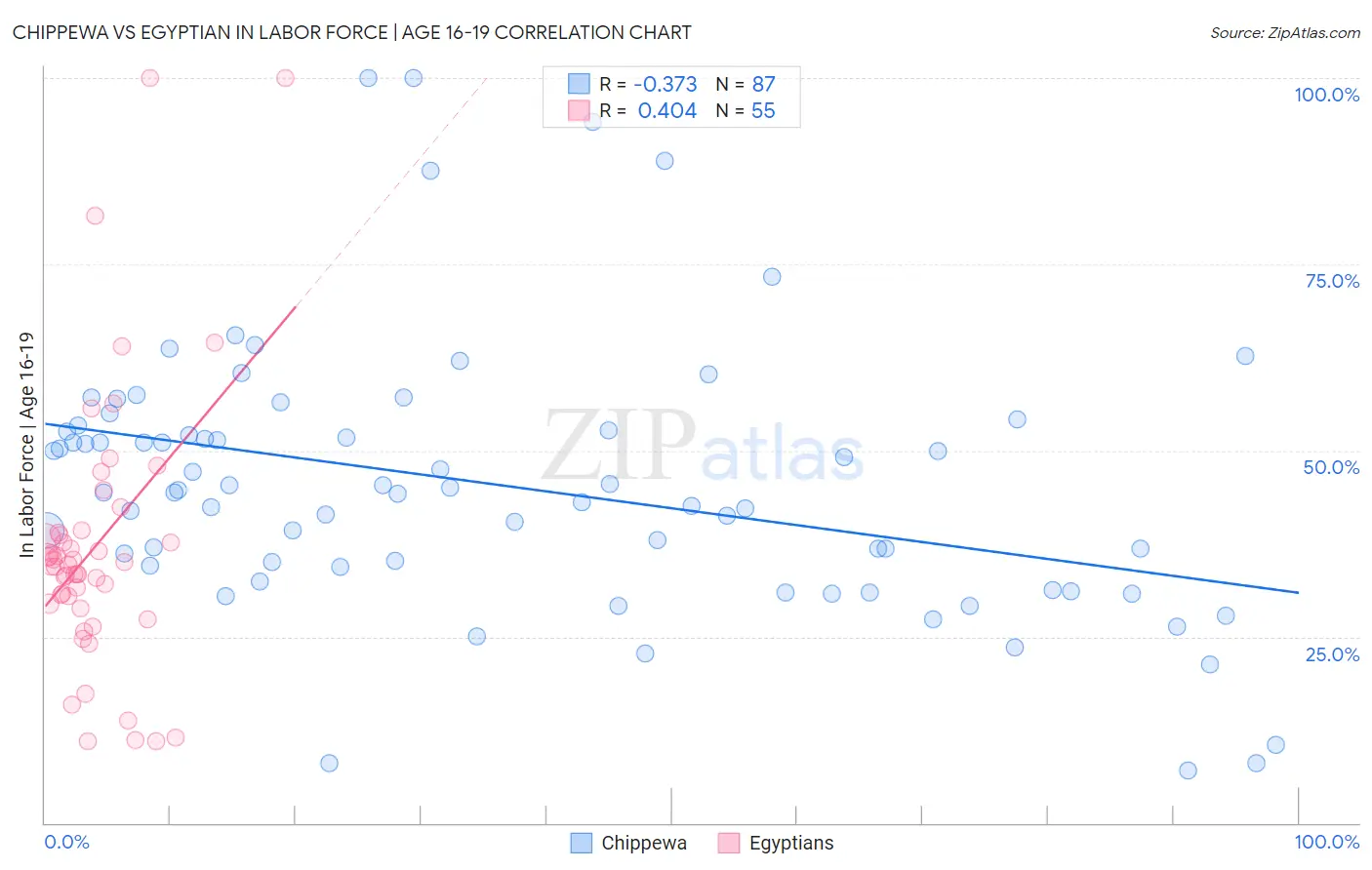 Chippewa vs Egyptian In Labor Force | Age 16-19