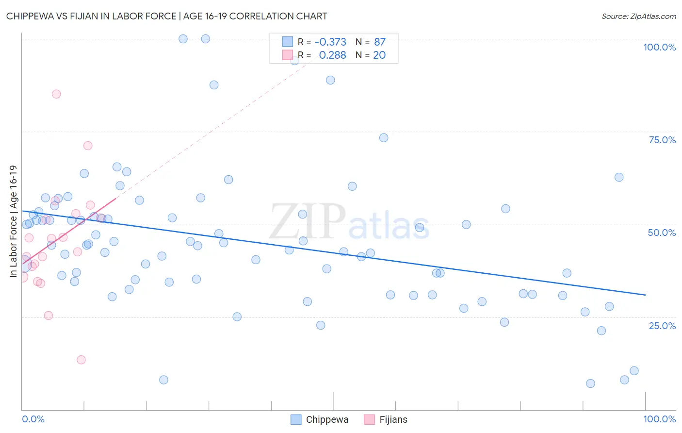 Chippewa vs Fijian In Labor Force | Age 16-19