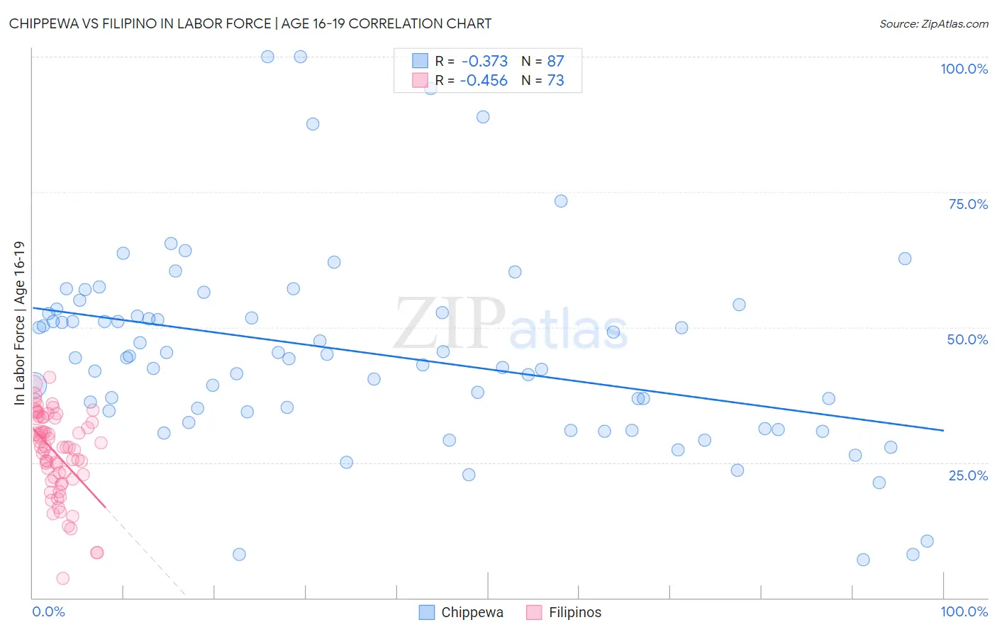 Chippewa vs Filipino In Labor Force | Age 16-19