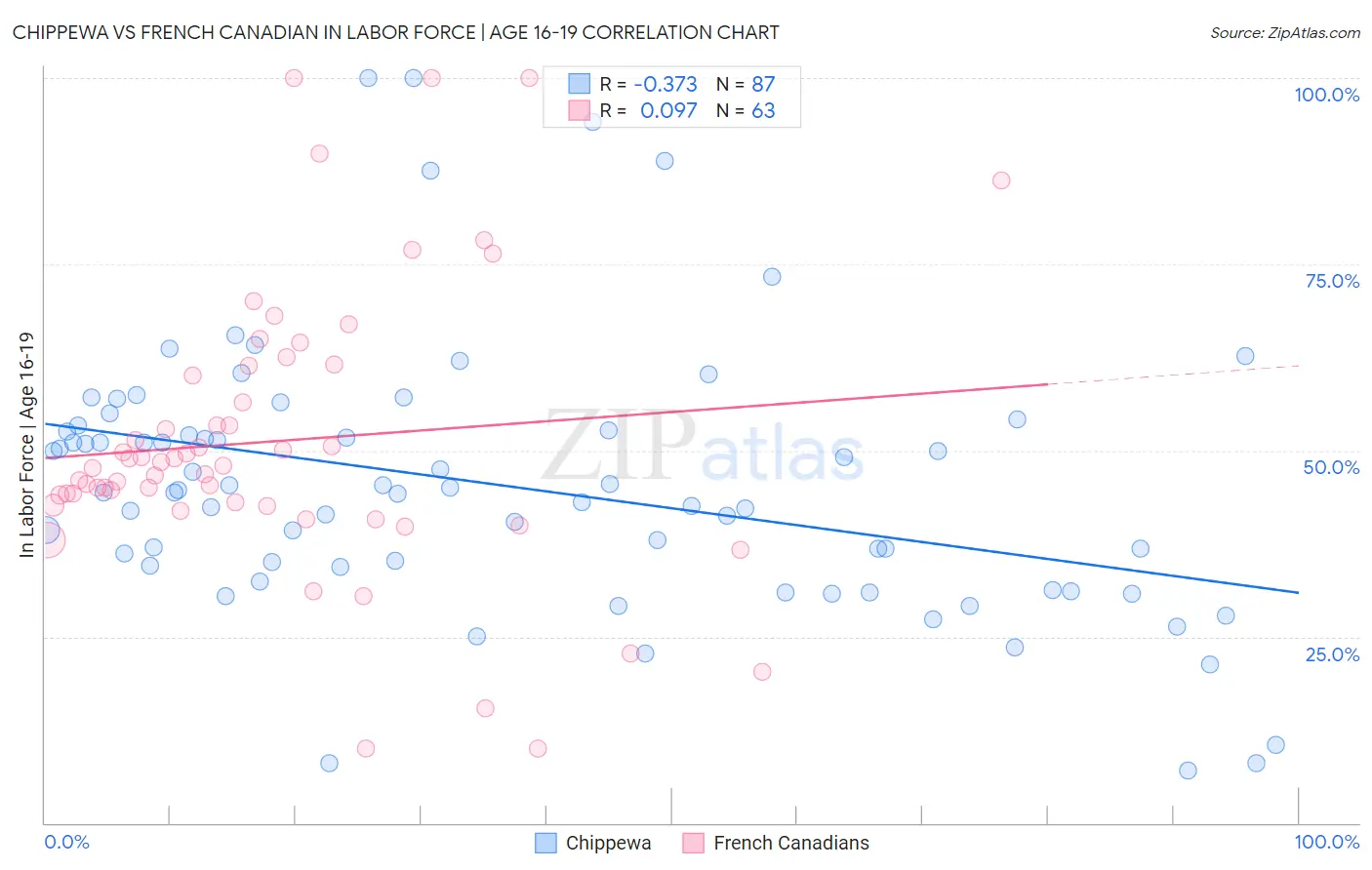 Chippewa vs French Canadian In Labor Force | Age 16-19