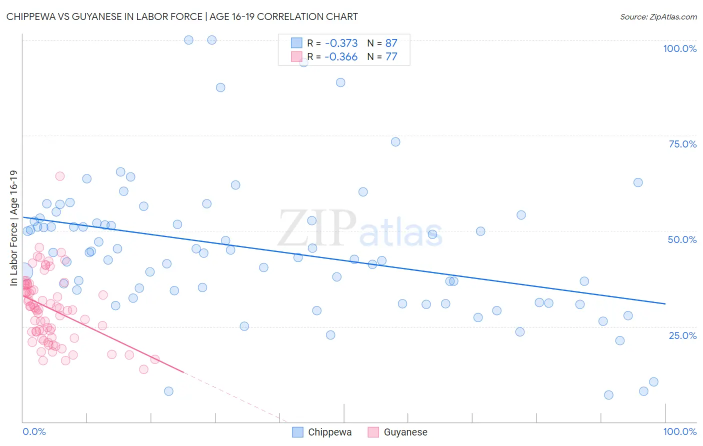 Chippewa vs Guyanese In Labor Force | Age 16-19