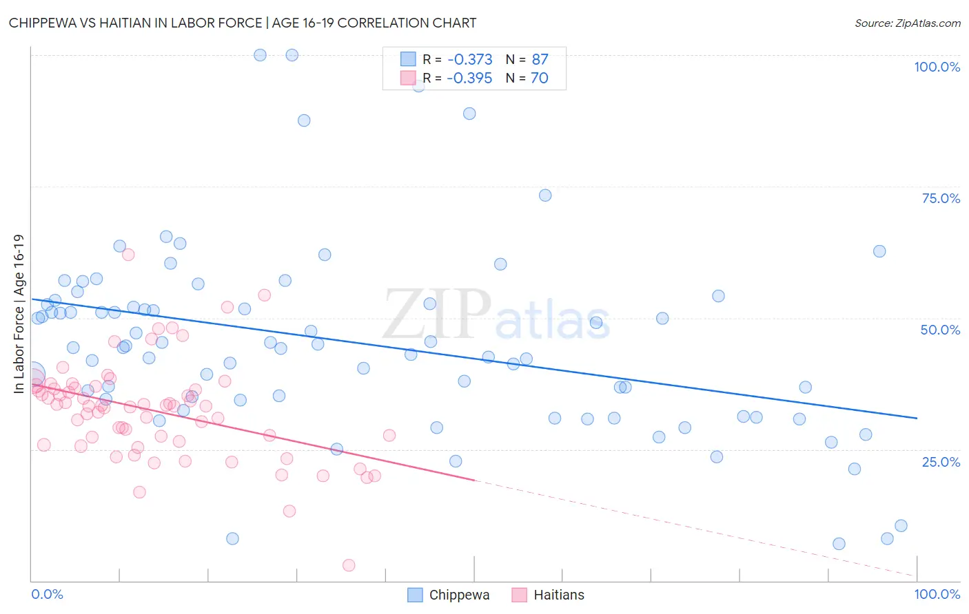 Chippewa vs Haitian In Labor Force | Age 16-19