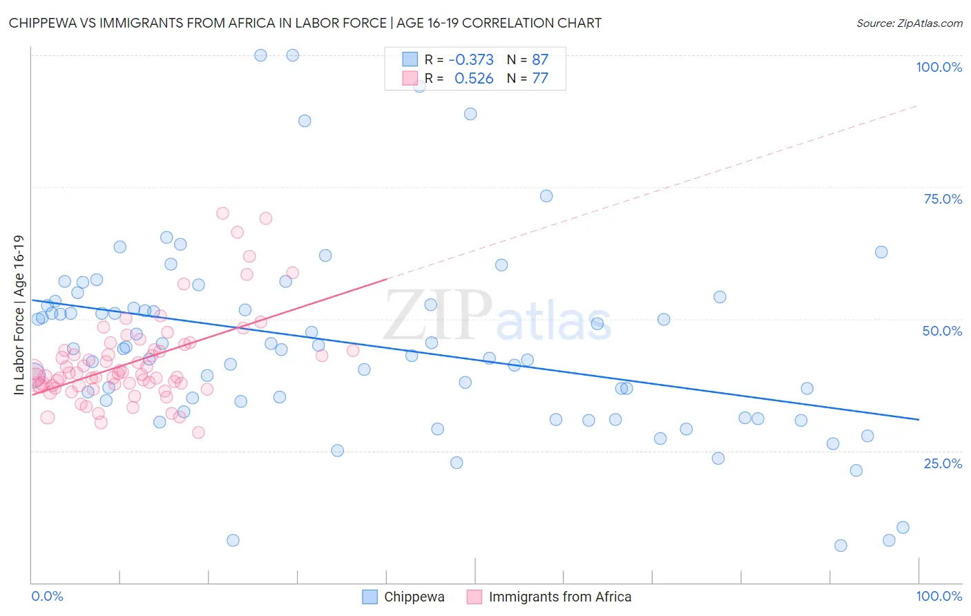 Chippewa vs Immigrants from Africa In Labor Force | Age 16-19