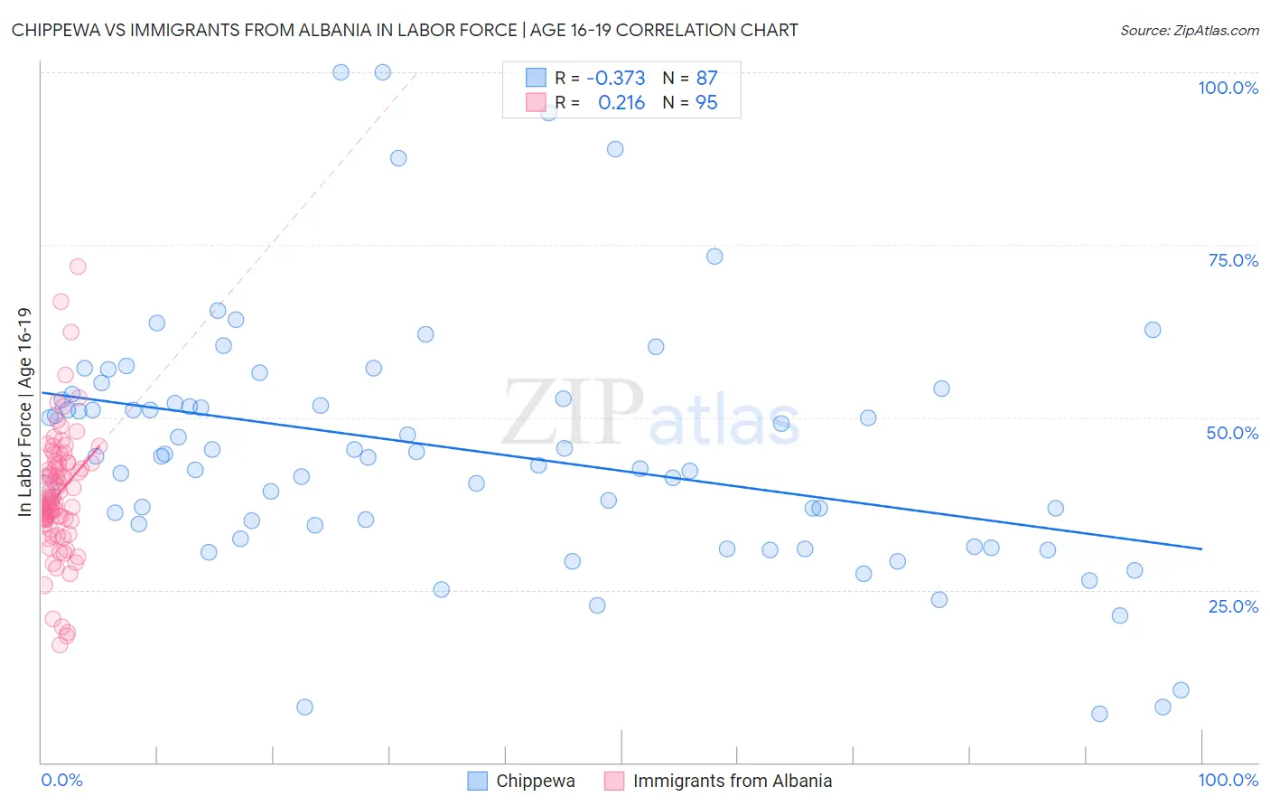 Chippewa vs Immigrants from Albania In Labor Force | Age 16-19