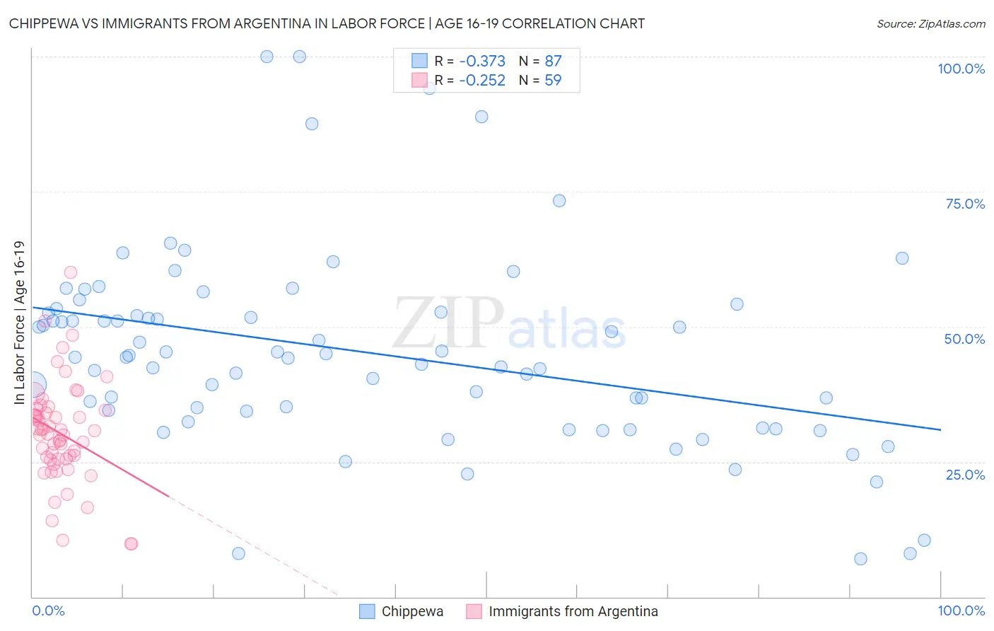 Chippewa vs Immigrants from Argentina In Labor Force | Age 16-19