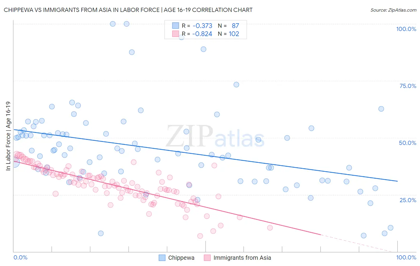 Chippewa vs Immigrants from Asia In Labor Force | Age 16-19