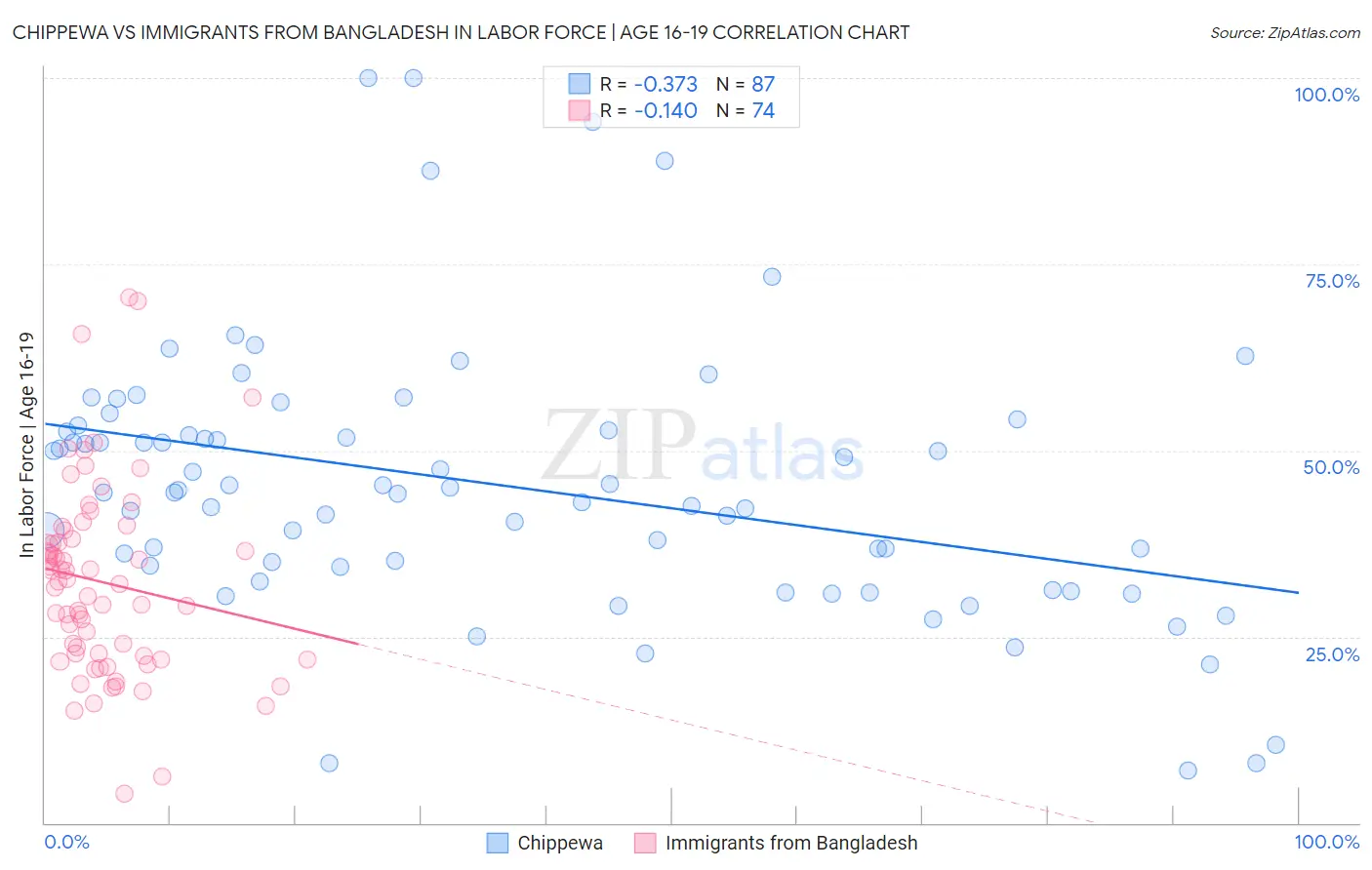 Chippewa vs Immigrants from Bangladesh In Labor Force | Age 16-19